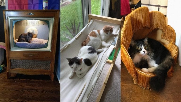5 DIY Cat Beds Ideas So Cozy You’ll Want One Too