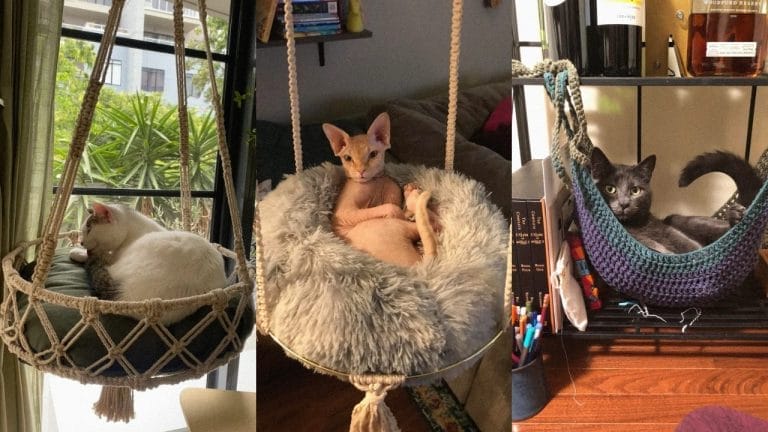 DIY Cat Hammocks Made Simple – 5 Projects to Try Today